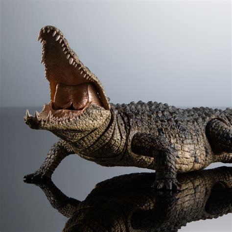 crocodile figure.